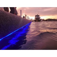 Pontoon Glowing Blue